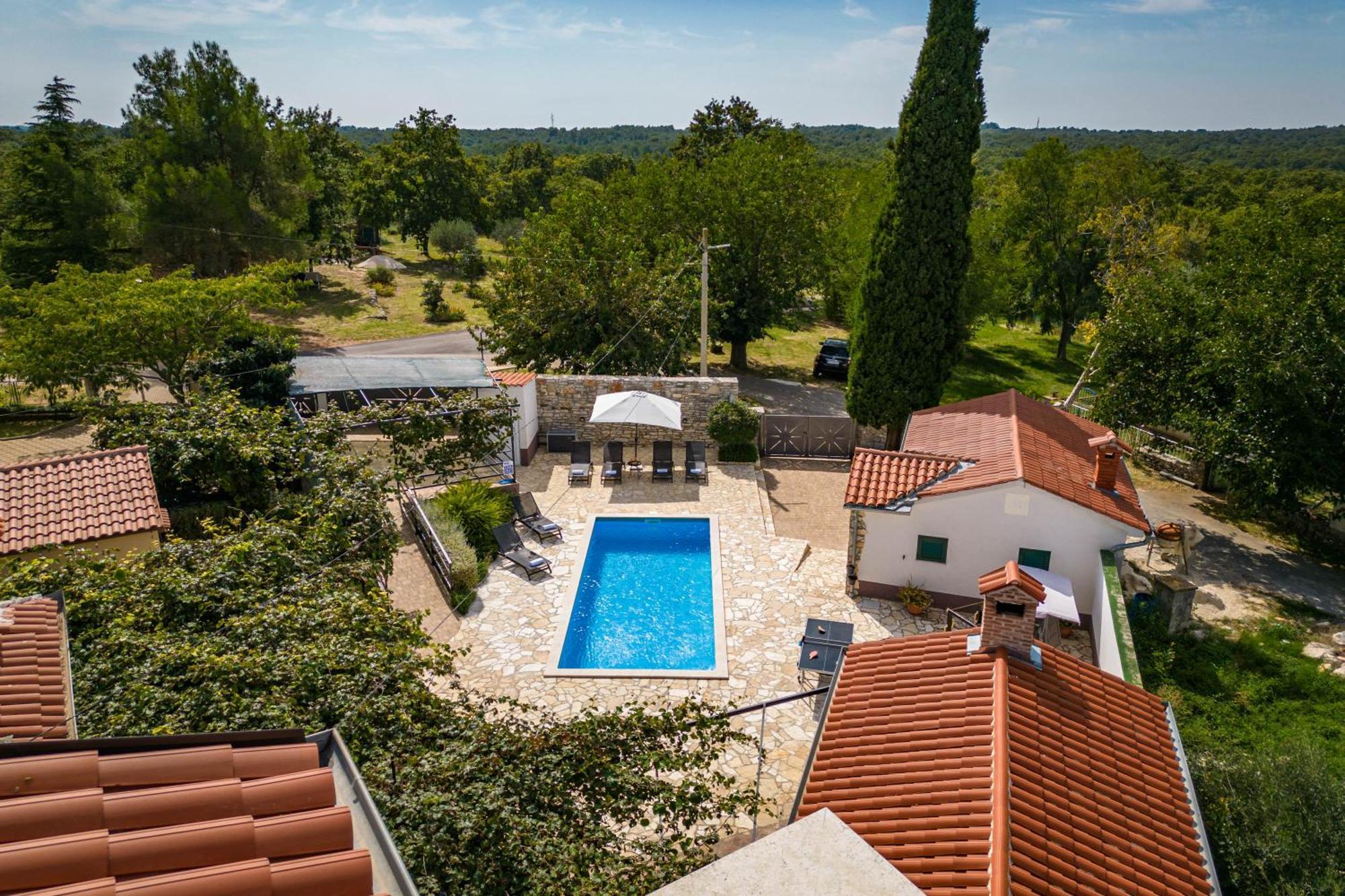 Villa Pool Dominique - Happy Svetvinčenat
